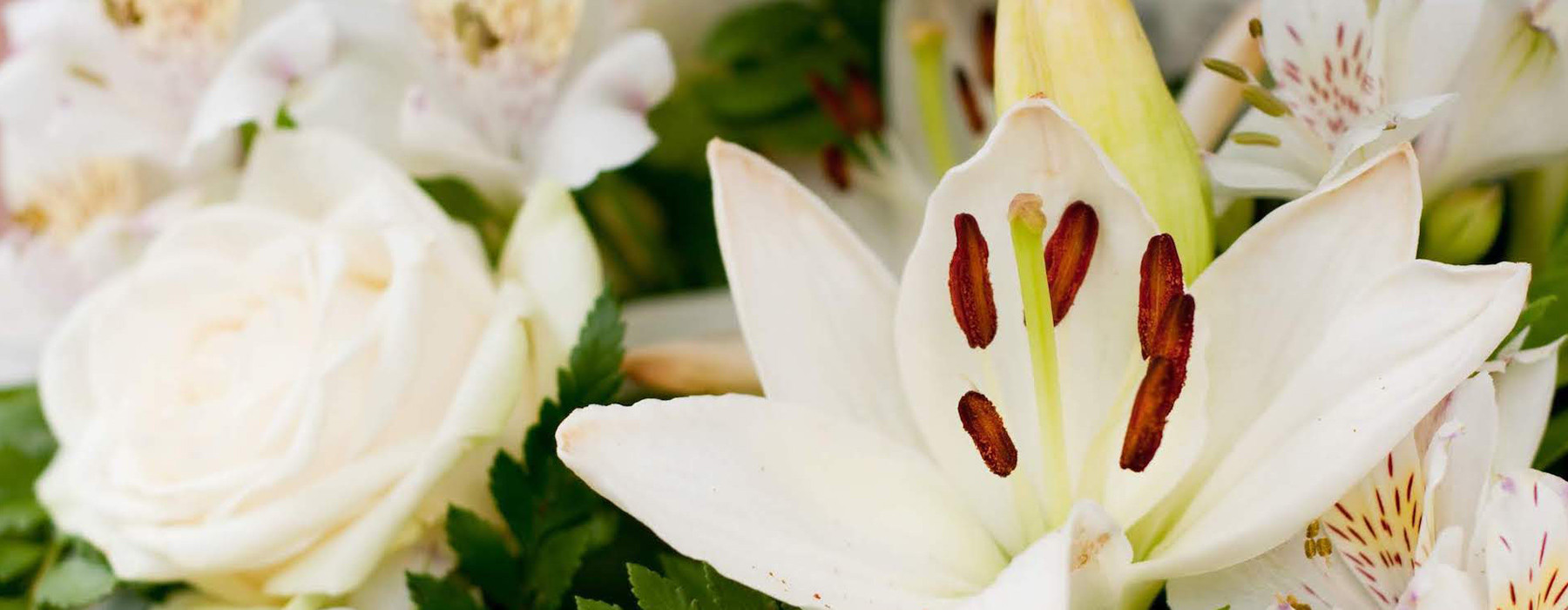 宗教法人法伝寺